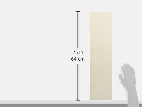 Amazon | ゼット(ZETT)野球 ピッチャープレート ZBV26B 厚み20mm